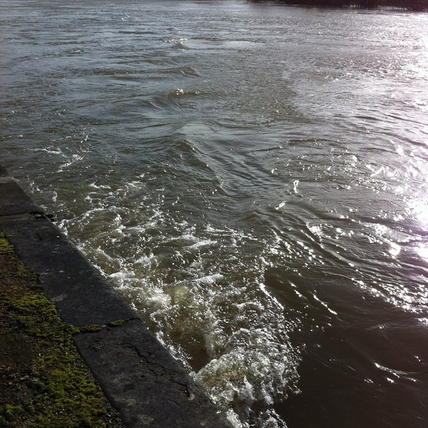 ./riverjan14/White_water_on_the_Thames_wm.JPG
