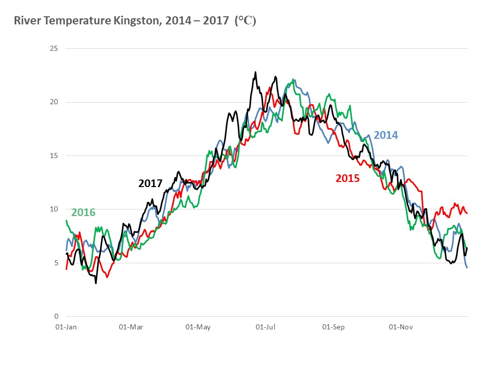 Kingston river temperature