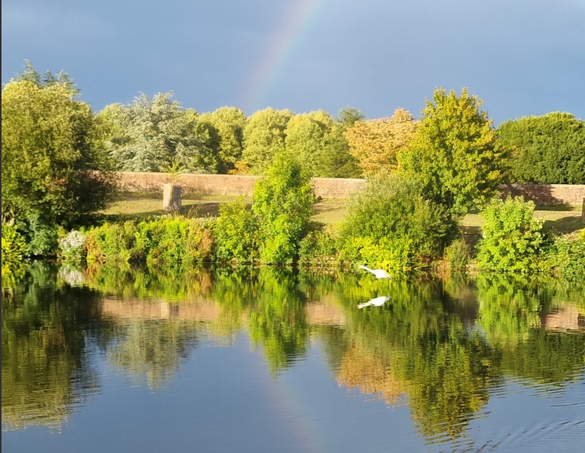 river quality